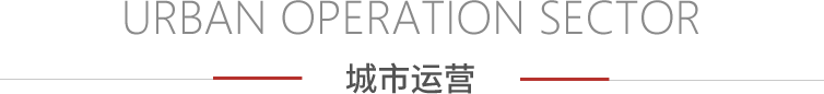 资产治理 - PG国际集团