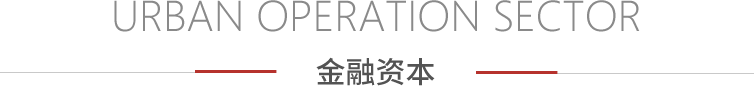 担保公司 - PG国际集团