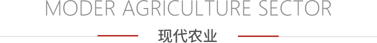 农博优品 - PG国际集团