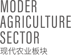 农博优品 - PG国际集团