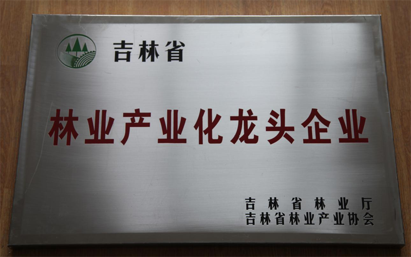 长春净月潭旅游生长有限公司 - PG国际集团