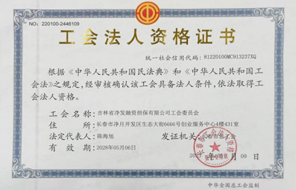 担保公司 - PG国际集团
